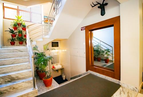 a staircase with potted plants next to a door at Magnificent Hotel in Kathmandu