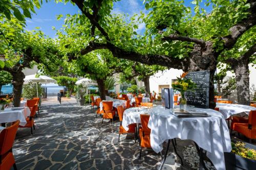a restaurant with tables and chairs under a tree at Logis Hotel Le Provencal in Les Issambres