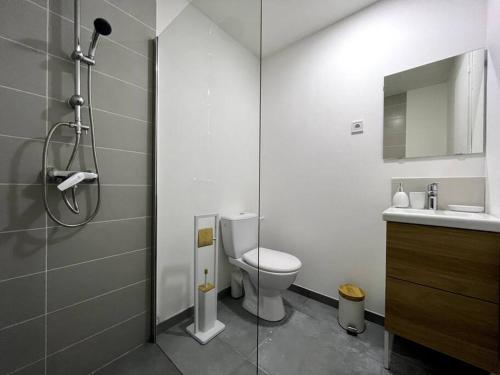 ein Bad mit einem WC, einem Waschbecken und einer Dusche in der Unterkunft Gamma - studio 2 pers - centre / proche hôpital in Montereau-faut-Yonne