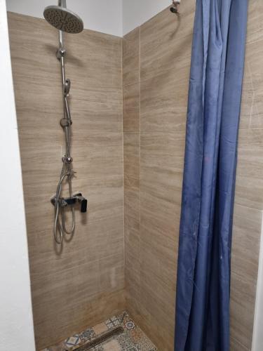 a shower with a blue curtain and a shower head at Camera Junior 5 persoane Paulownia Garden in Cristian