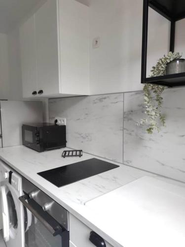 une cuisine blanche avec un évier et un micro-ondes dans l'établissement L'évasion du Coquelicot, à Albert