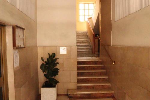 a staircase in a building with a potted plant at Flower Inn Marconi Roma in Rome