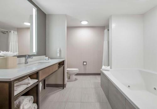 La salle de bains est pourvue d'un lavabo et de toilettes. dans l'établissement Hilton Garden Inn Dallas/Allen, à Allen