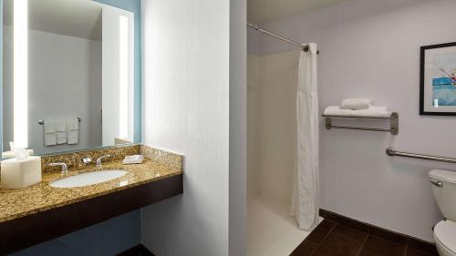 a bathroom with a sink and a toilet and a mirror at Hilton Garden Inn Merrillville in Merrillville