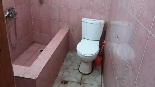 uma casa de banho com um WC e uma banheira em Birhan Guest House em Addis Ababa