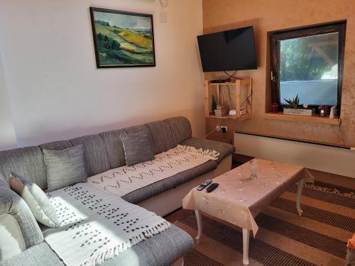 a living room with a couch and a tv at Vila Mila Fruška Gora in Velika Remeta