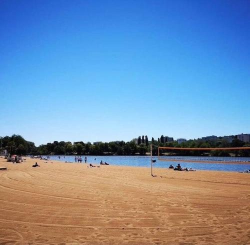 un grupo de personas en una playa con una pelota de fútbol en * Au P'tit Cosy *, en Dijon