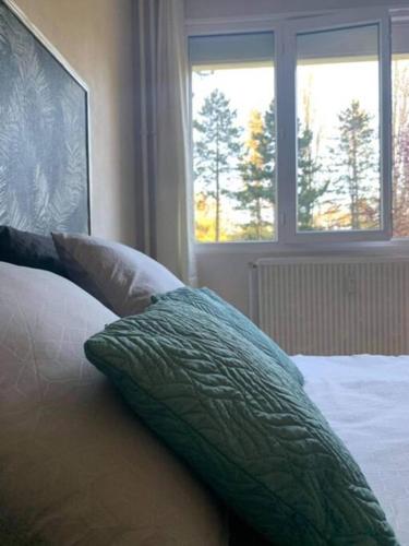 - un lit avec un oreiller vert et 2 fenêtres dans l'établissement * Au P'tit Cosy *, à Dijon