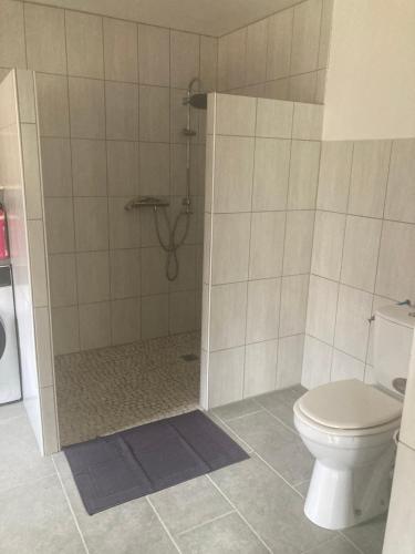 een badkamer met een douche en een toilet bij Le coetquentellien in Pleudihen-sur-Rance
