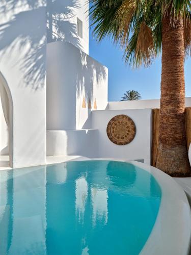a swimming pool in a villa with a palm tree at Zefi Hotel & Suites in Naousa