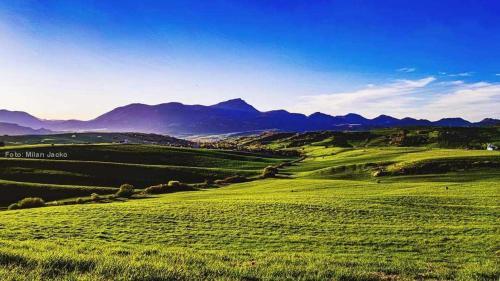 a green field with mountains in the background at Deluxe Apartman Lara in Liptovské Sliače