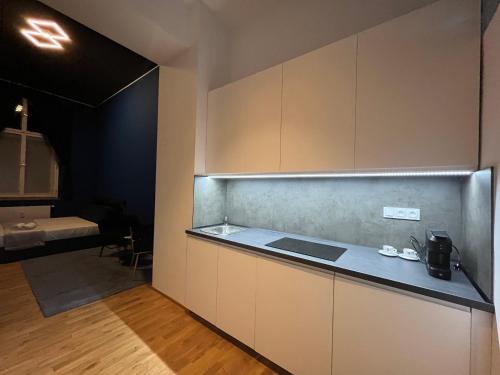 a kitchen with a counter and a room with a bed at SPA SPA Apartments Vyšehrad in Prague