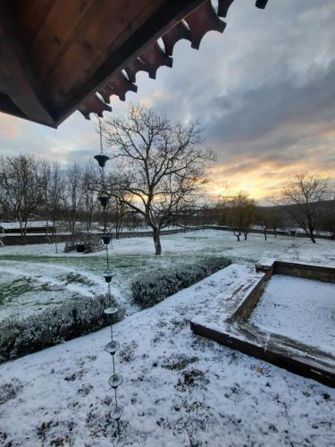 a yard covered in snow with trees in the background at Acul în carul cu fan in Pădurenii