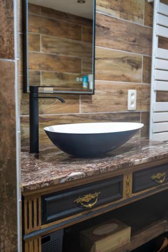 a bowl sink on a counter in a bathroom at gite l'atelier du Trieu Robin in Beaumont