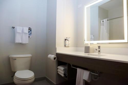 a bathroom with a toilet and a sink and a mirror at Holiday Inn Express Baton Rouge North, an IHG Hotel in Zachary