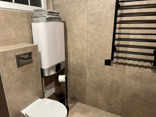 a bathroom with a toilet and a towel rack at Holiday house near the city in Būdviečiai