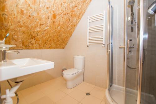 a bathroom with a toilet and a sink and a shower at Saniba Gudauri in Gudauri