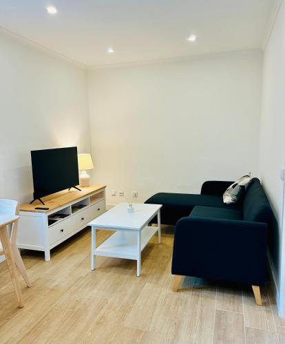 a living room with a couch and a tv at Casa Martins Country Apt, No.6 in Freiria