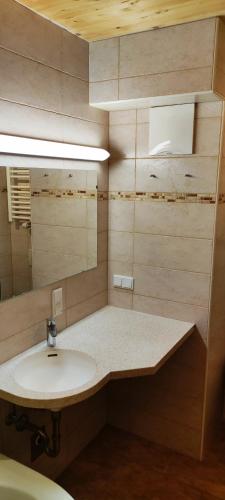 a bathroom with a sink and a mirror at Premium Appartements Di Bora in Sankt Michael im Lungau