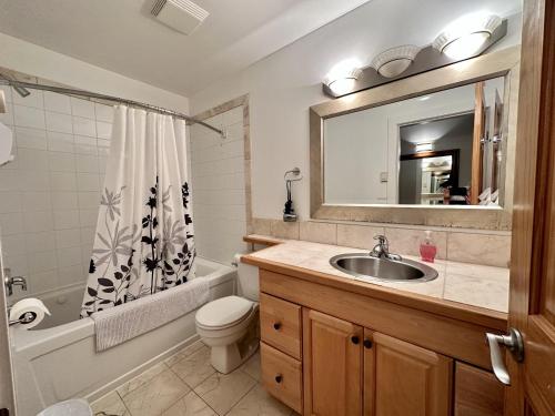 une salle de bain avec un lavabo, des toilettes et un miroir dans l'établissement Cozy 2 Bedroom Waterfront Cottage With Hot Tub!, à Ucluelet