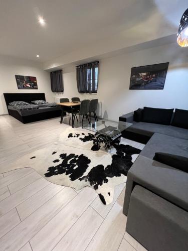 Posezení v ubytování Apartmány Pískovna Assen