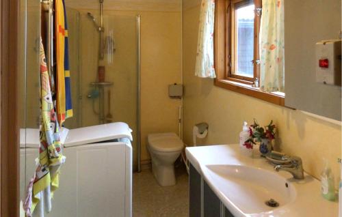 a bathroom with a sink and a toilet and a shower at Awesome Home In Norrtlje With Wifi in Norrtälje