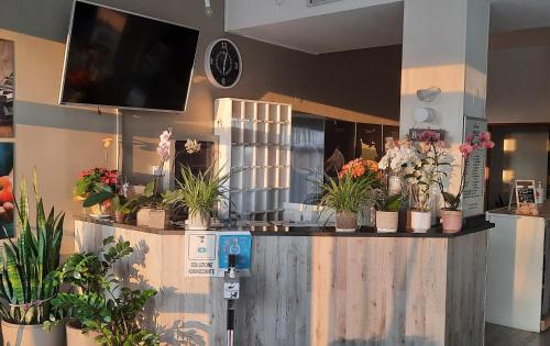 a flower shop with potted plants on a counter at Hotel Trotter in Leno