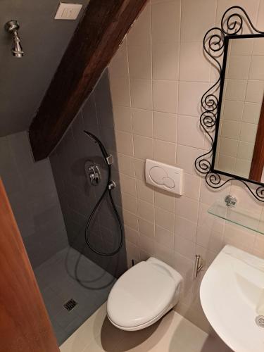 a bathroom with a shower and a toilet and a sink at Locanda Ca' Formosa in Venice