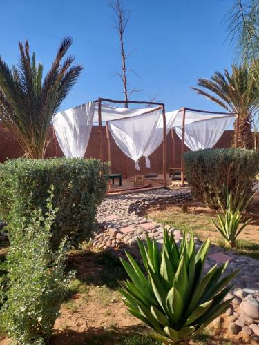 a tent in a garden with trees and plants at Riad ma bonne étoile in Kasr Bounou