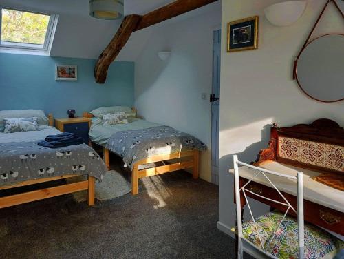a bedroom with two twin beds and a window at Cae Tudur Remote Rural Cottage near Barmouth in Barmouth
