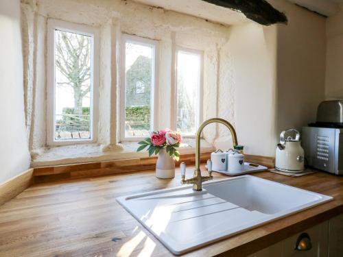 FeethamにあるPursglove Cottageのキッチン(シンク付)、窓2つが備わります。