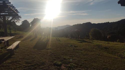 a group of horses grazing in a field with the sun at Montanha Home in Monte Verde