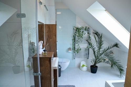 a bathroom with a shower and a toilet and a plant at Földi Paradicsom Vendégház in Hajdúszoboszló