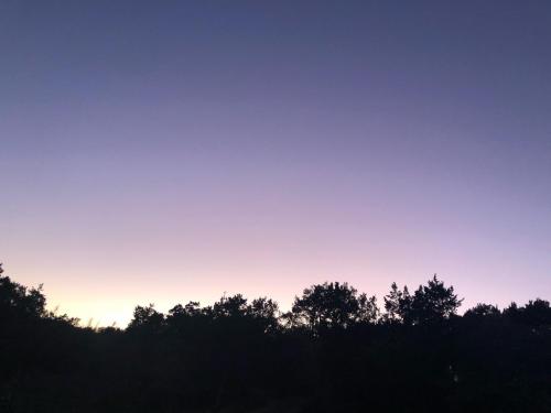 a group of trees in front of a sunset at Mosaic On The Hill in San Marcos