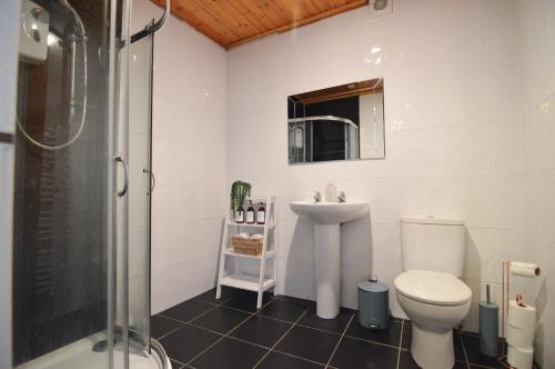 a bathroom with a shower and a sink and a toilet at Two Bedroom Flat with Sea Views! in Fife