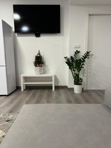 uma sala de estar com dois vasos de plantas e uma televisão de ecrã plano em CasaMaeDouro em Peso da Régua