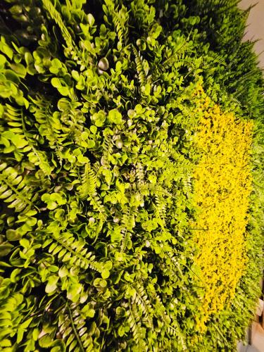 a bunch of yellow flowers on a green bush at Tropical Paradise @ One Oasis in Davao City+SM Davao in Davao City