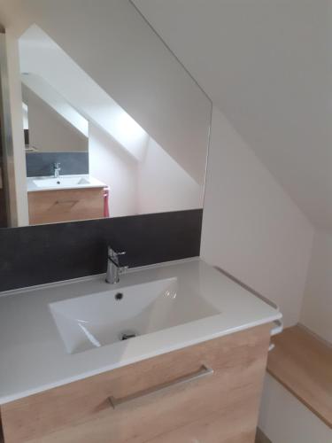 uma casa de banho com um lavatório e um espelho em Hébergement individuel chez particulier proche 24h du Mans em La Milesse