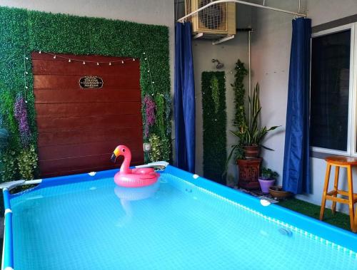 Teratak Hannani Maryam Kampar ( Muslim Homestay) في كامبار: بجعة وردية في مسبح في فناء خلفي