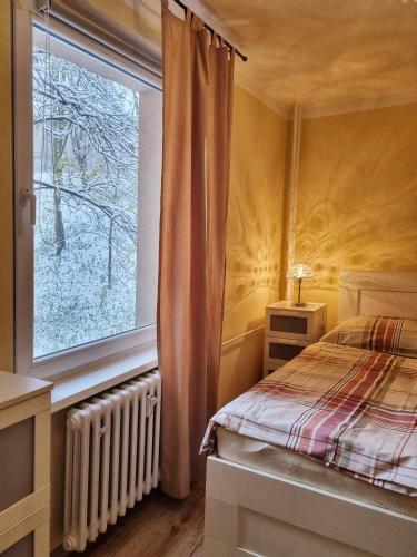 um quarto com uma cama e uma janela em TEPLA II em Teplice