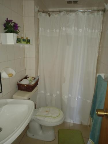 Jeca Centro في فالديفيا: حمام مع ستارة دش بيضاء ومرحاض