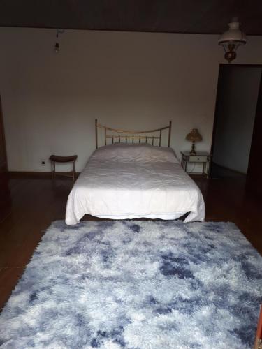 a bedroom with a bed and a blue rug at Terapias integrativas do Sandrin in Jundiaí