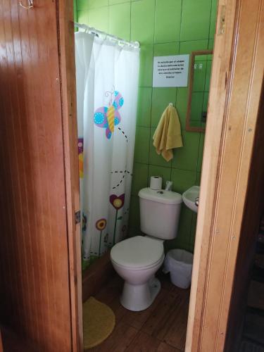 y baño con aseo y cortina de ducha. en Departamentos Centro Pichilemu en Pichilemu