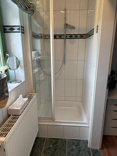 baño con ducha y puerta de cristal en Charmantes Zimmer in Dresden OT Langebrück, en Dresden