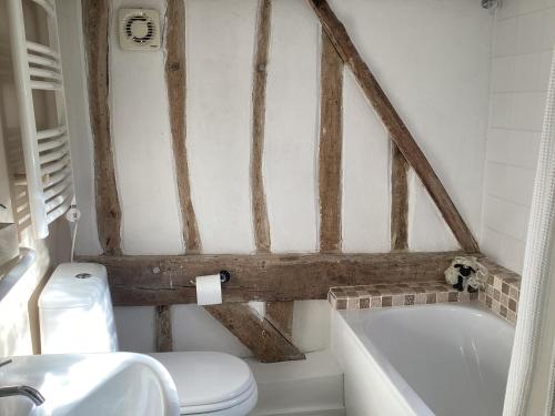 a bathroom with a white toilet and a bath tub at Black Sheep Cottage in Saxmundham