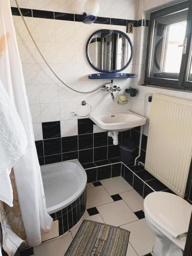 a bathroom with a sink and a toilet and a mirror at Penzión Alex in Veľká Lomnica