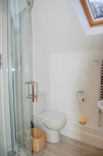 a bathroom with a toilet and a glass shower at Anneddle Cottage in Talybont, near Barmouth in Talybont
