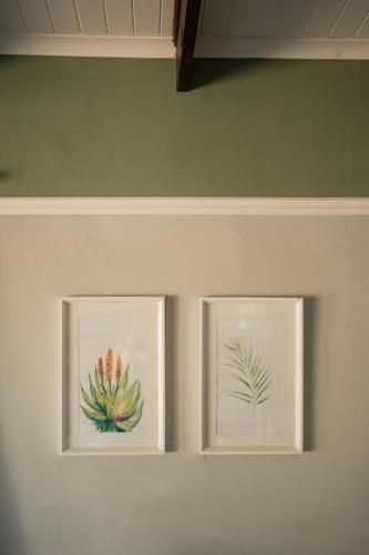 two framed pictures of plants on a wall at Elianthe Guesthouse in Swellendam