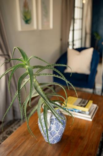 a plant in a blue and white vase on a table at Elianthe Guesthouse in Swellendam