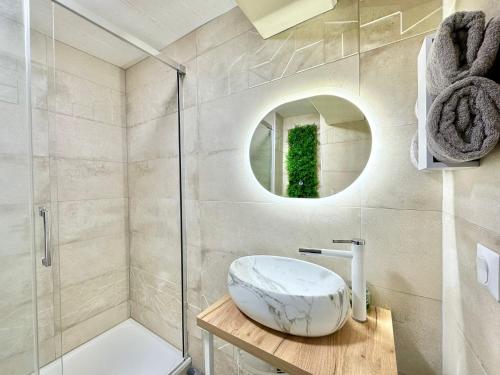 un bagno con lavandino e doccia di Perle Rare du Centre-ville a Évreux